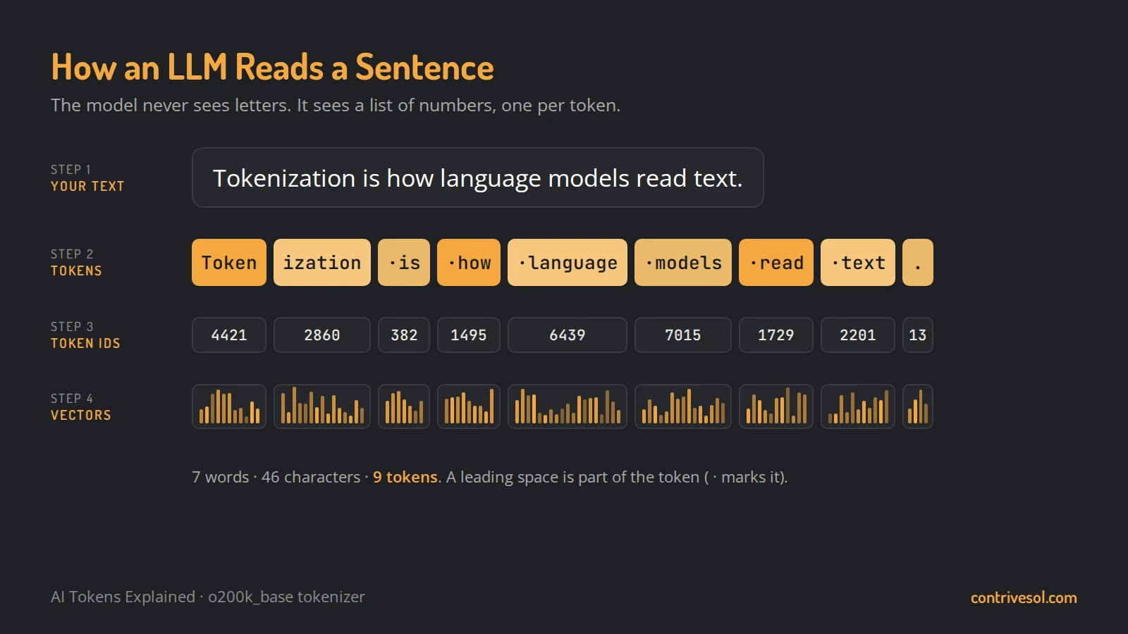 How an LLM reads a sentence: the text 'Tokenization is how language models read text.' is split into 9 tokens, each token becomes a token ID such as 4421 and 2860, and each ID becomes a vector of numbers